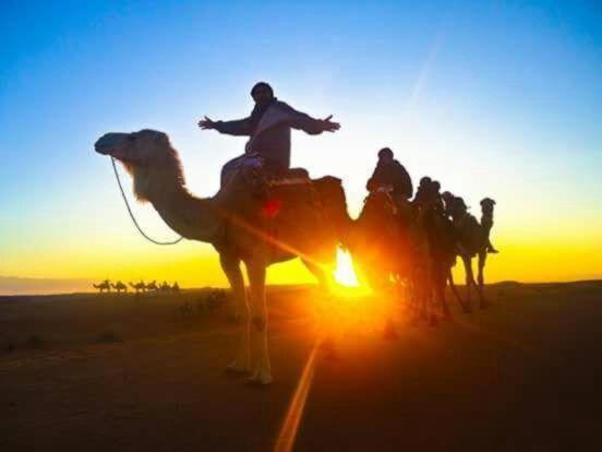 Riad Hanafi マラケシュ エクステリア 写真